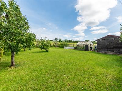 Picture 31